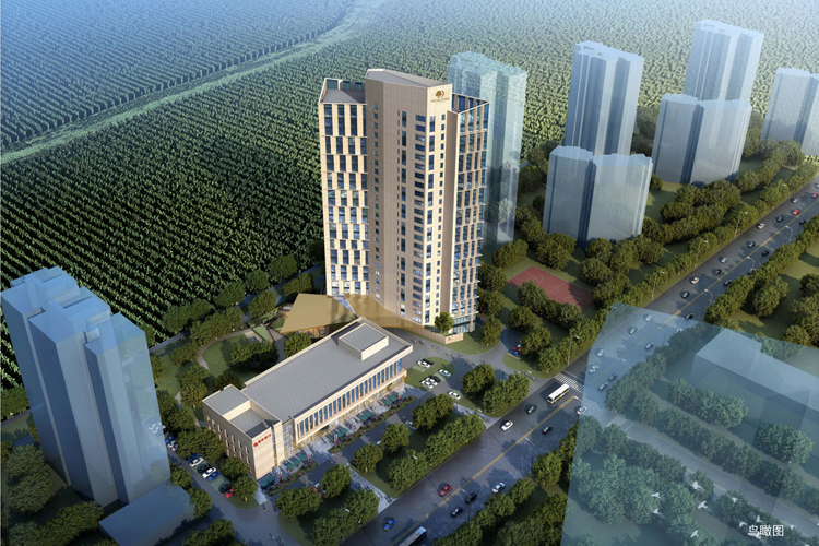 不负春光起好步，，，希尔顿逸林旅馆公寓项目银行主体封顶大吉